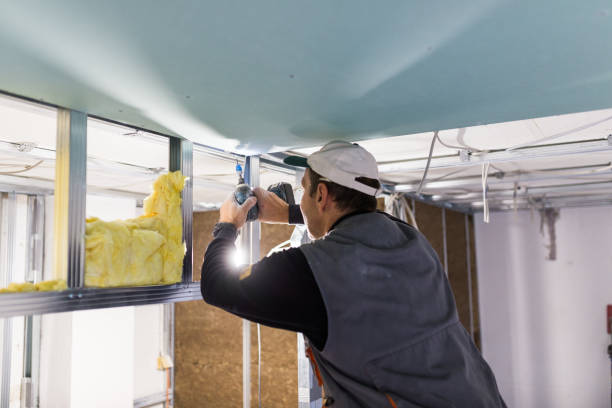 Garage Insulation Installation in Forney, TX