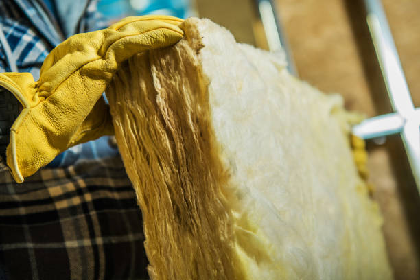 Best Professional Insulation Contractor  in Forney, TX