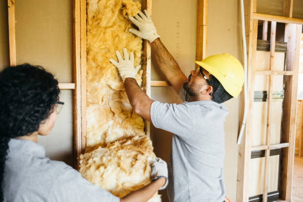 Best Insulation Repair Services  in Forney, TX