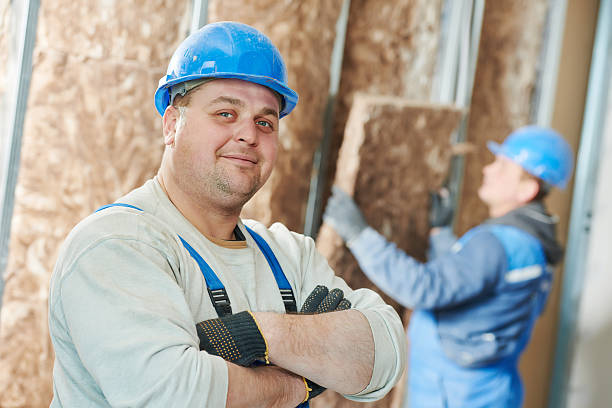 Best Cellulose Insulation  in Forney, TX